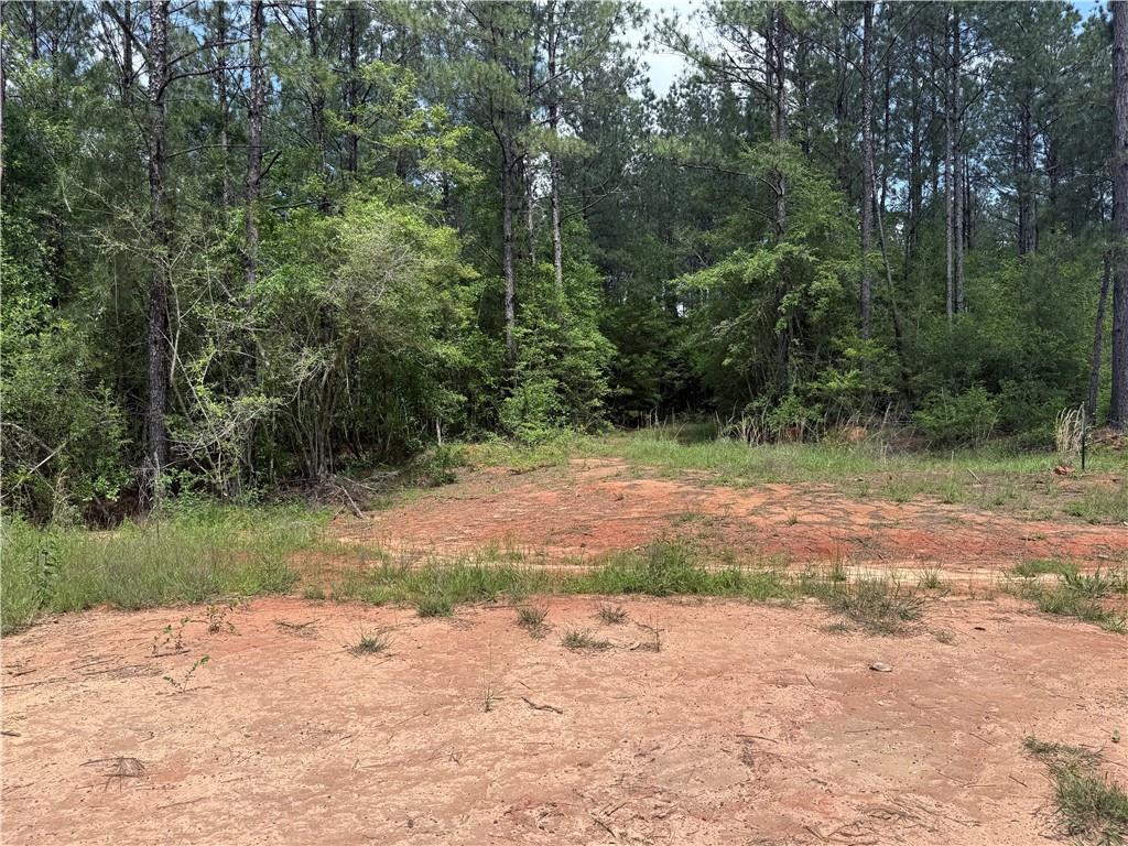 Lot 19 Caro Lane, Franklinton, Louisiana image 7
