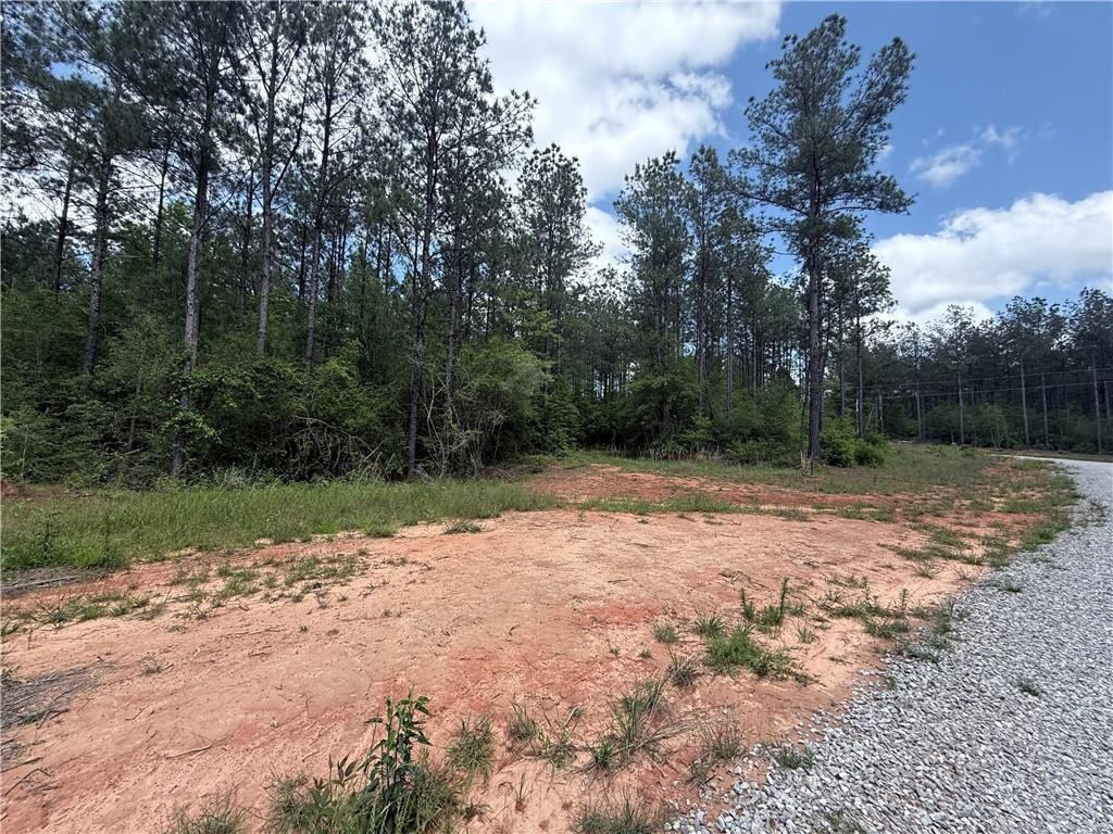Lot 19 Caro Lane, Franklinton, Louisiana image 9