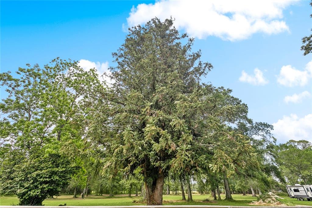 50266 1063 Highway, Independence, Louisiana image 25