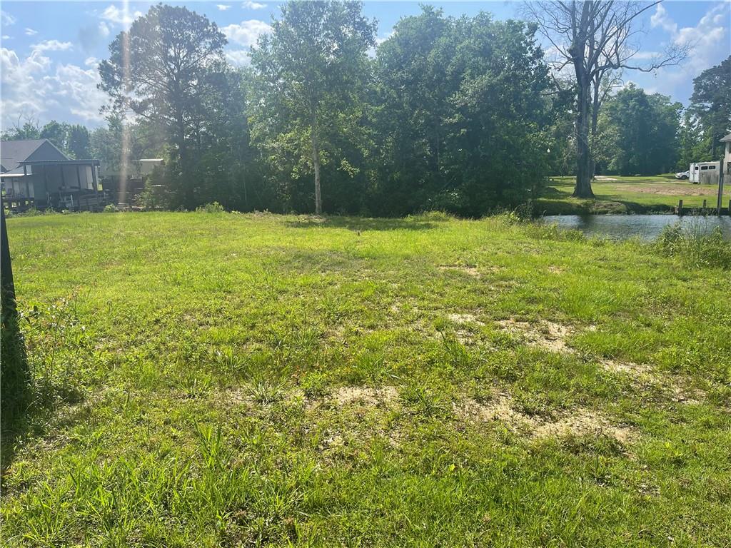 Swamp Drive, Springfield, Louisiana image 2