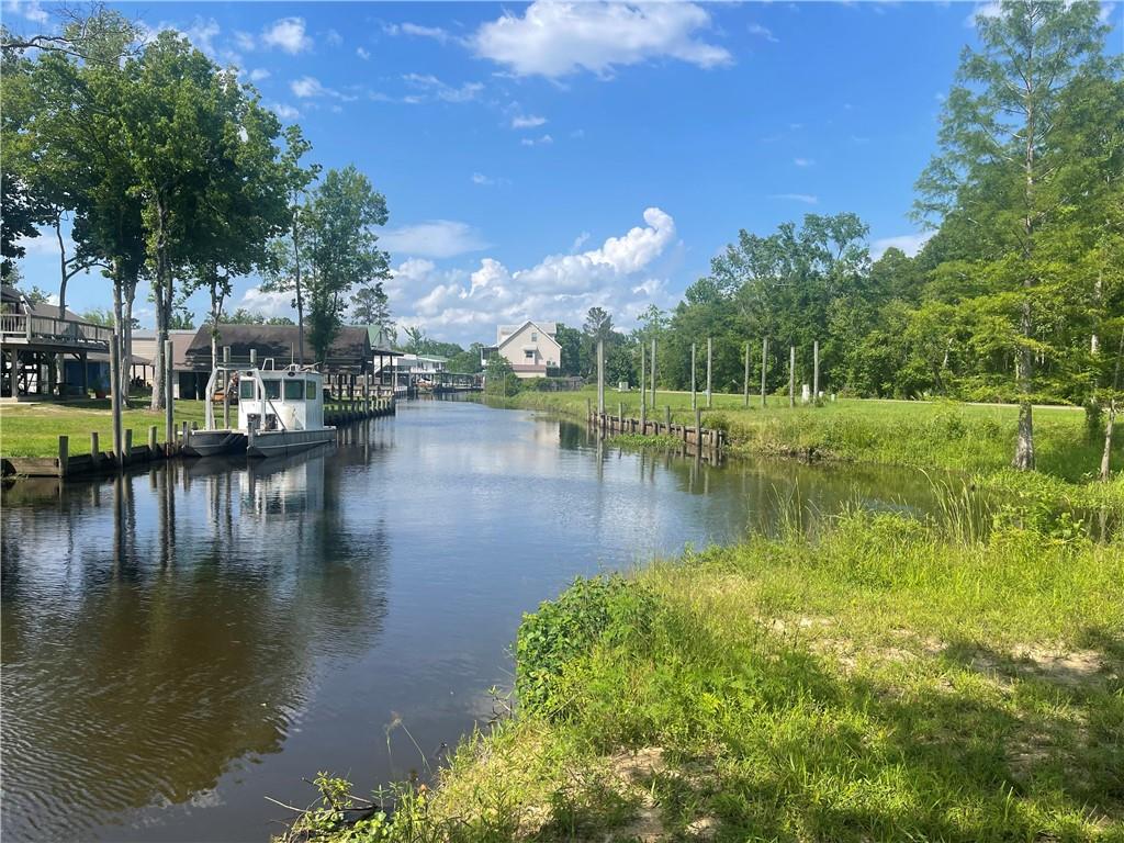 Swamp Drive, Springfield, Louisiana image 3