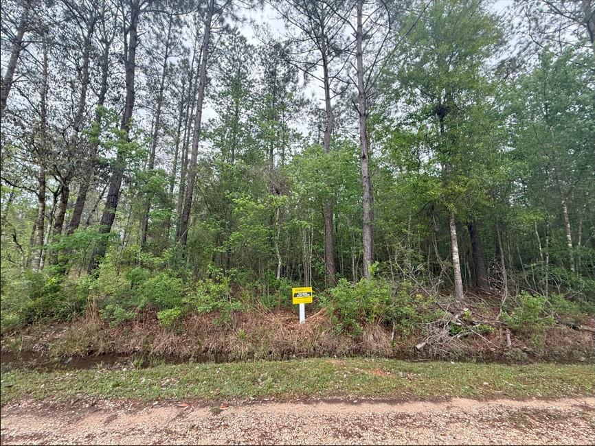 Par Street, Abita Springs, Louisiana image 1