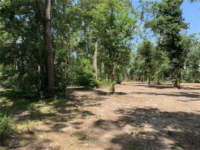 6.5 Acres Vacant Land Everett Lane, Ponchatoula, Louisiana image 1