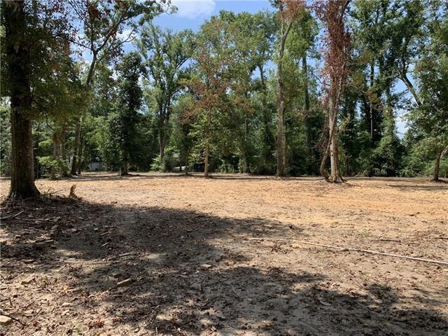6.5 Acres Vacant Land Everett Lane, Ponchatoula, Louisiana image 10
