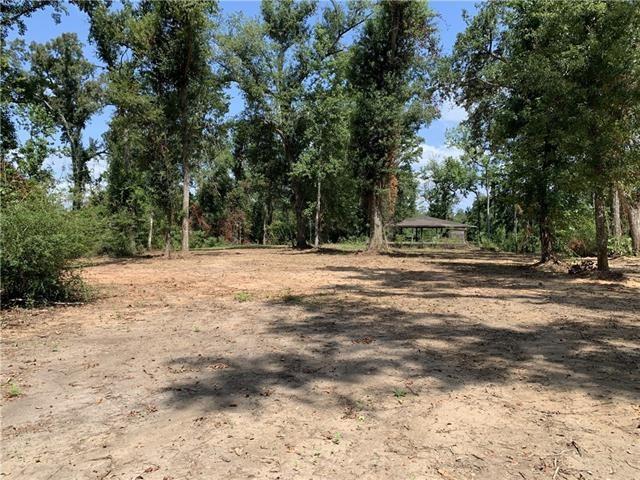 6.5 Acres Vacant Land Everett Lane, Ponchatoula, Louisiana image 3