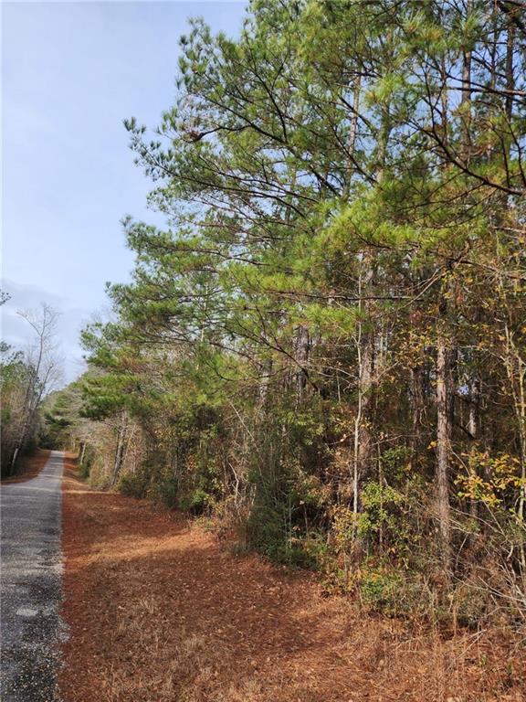80 Hugh Miller Road, Sumrall, Mississippi image 2