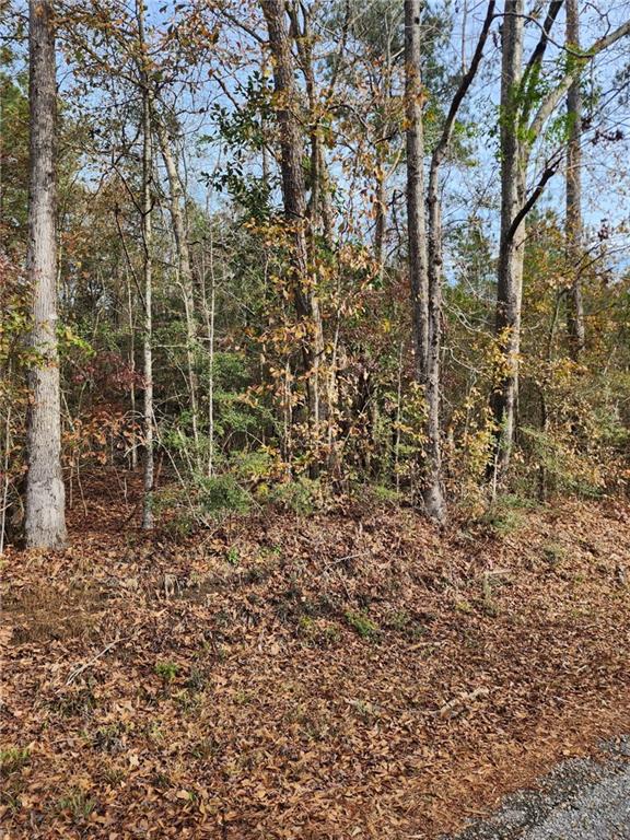 80 Hugh Miller Road, Sumrall, Mississippi image 4