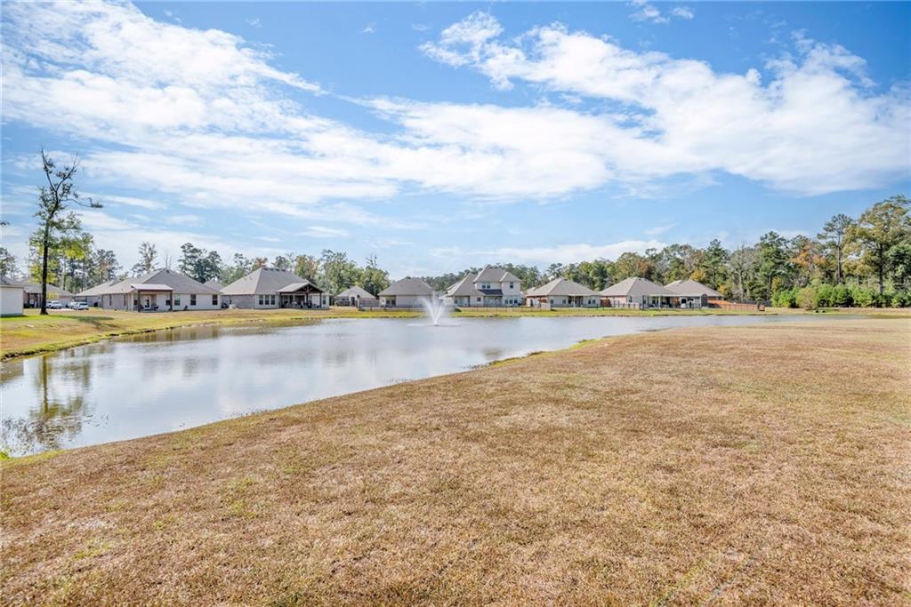 24140 Wigeon Avenue, Ponchatoula, Louisiana image 40