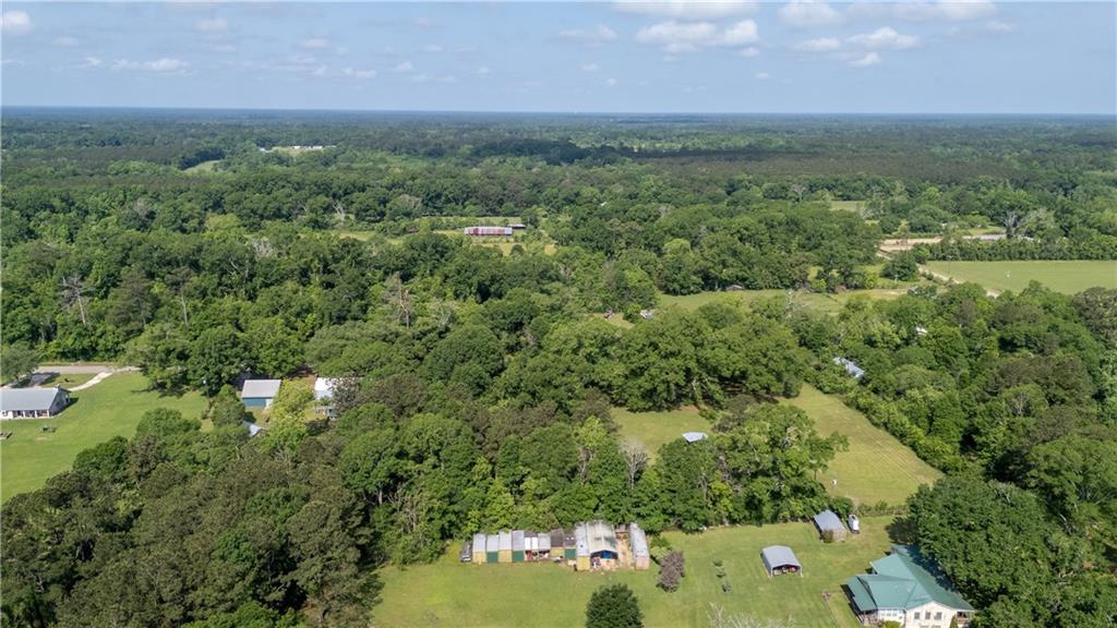 81450 Robert Road, Covington, Louisiana image 39