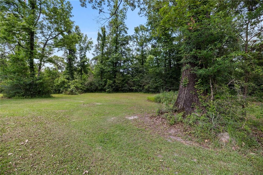 26272 Jim Bailey Road, Holden, Louisiana image 16
