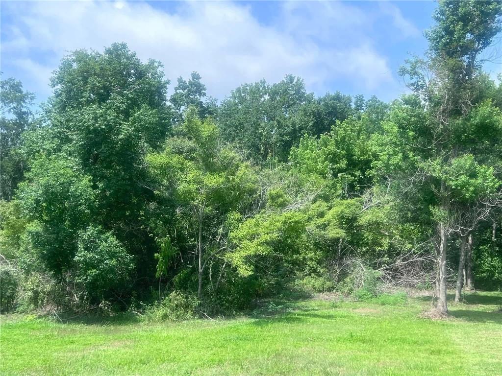 Lot 22 Palm Street, Lafitte, Louisiana image 10