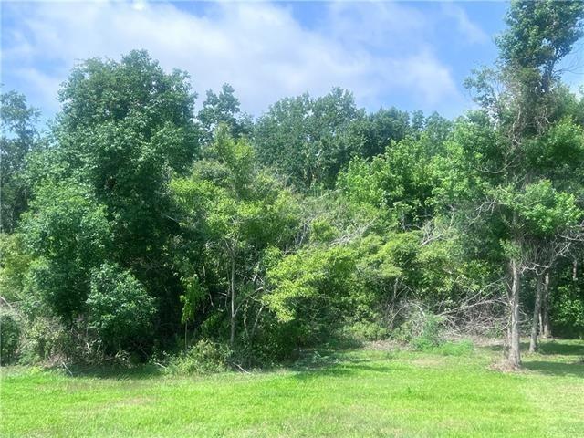 Lot 22 Palm Street, Lafitte, Louisiana image 3