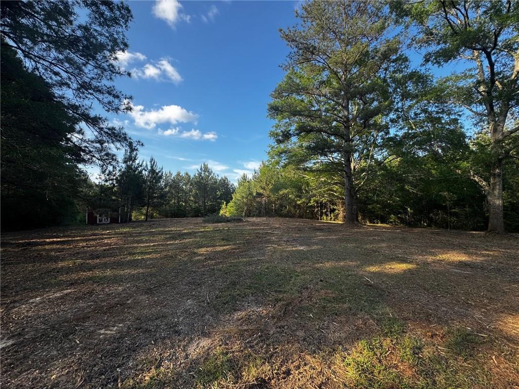 24211 Highway 1057, Kentwood, Louisiana image 2