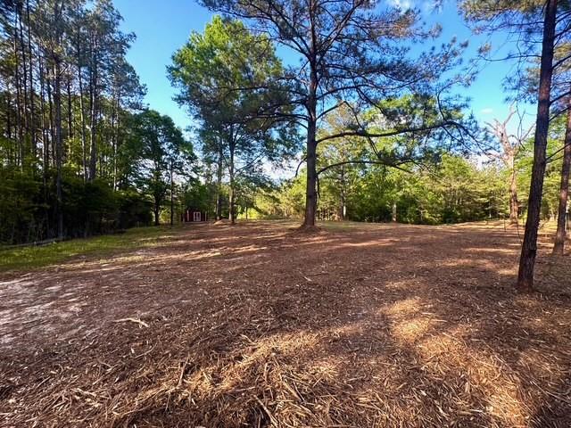 24211 Highway 1057, Kentwood, Louisiana image 4