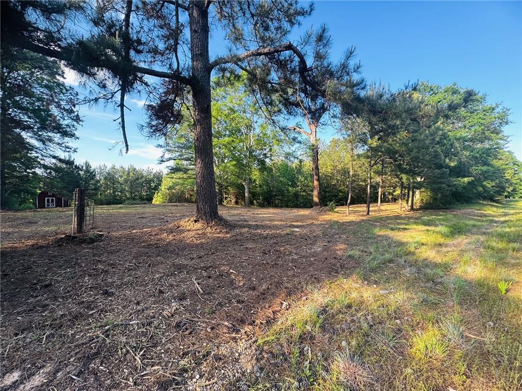 24211 Highway 1057, Kentwood, Louisiana image 5