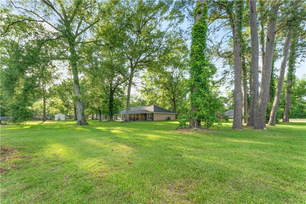 17462 Baywood Drive, Ponchatoula, Louisiana image 20