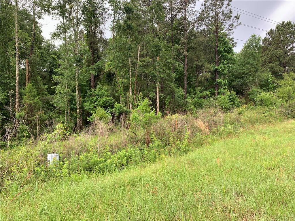 TBD E Hwy 16 Highway, Amite, Louisiana image 3