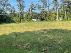 N Elmwood Loop, Hammond, Louisiana image 1