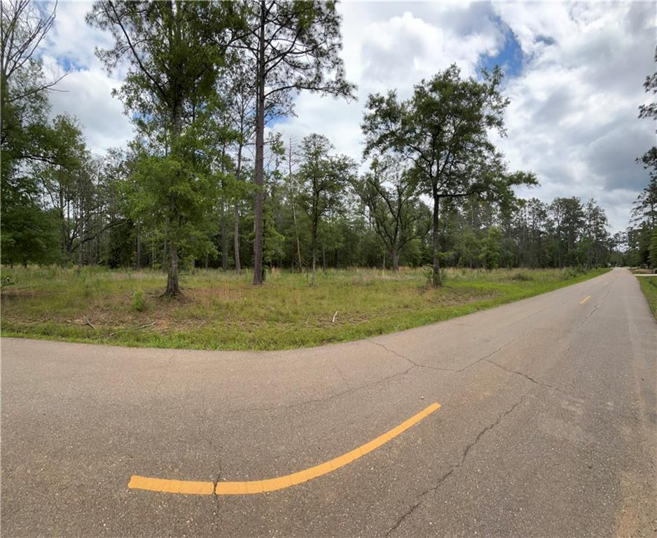 50150 Spirit Of The Forest Lane, Folsom, Louisiana image 2