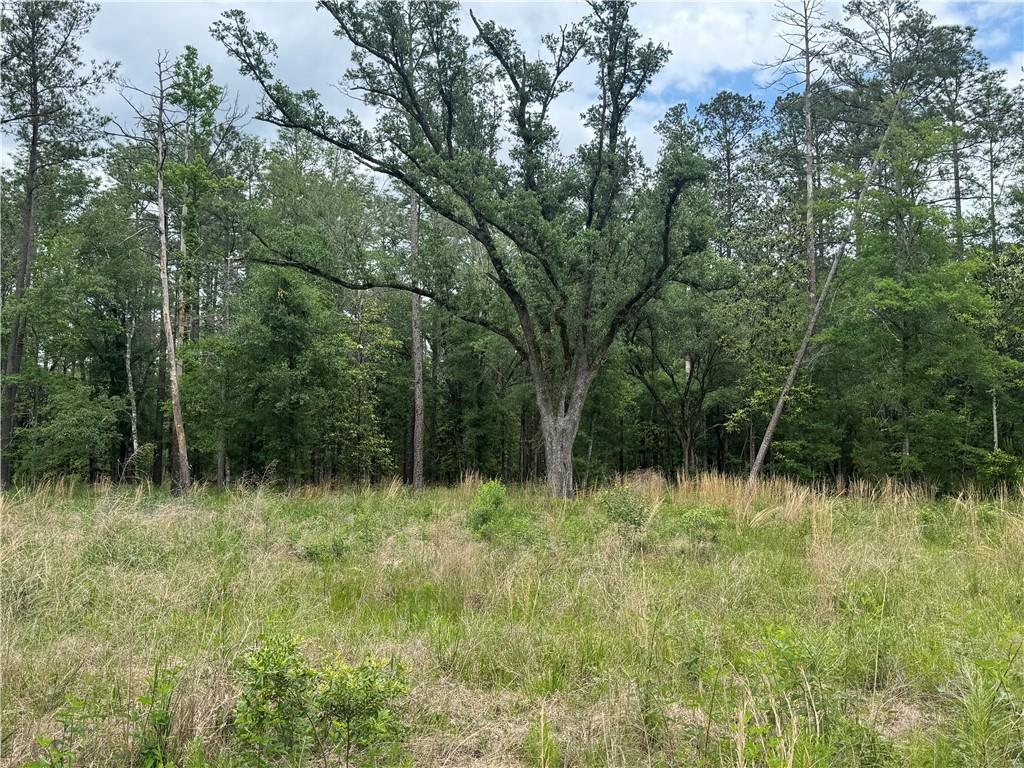 50150 Spirit Of The Forest Lane, Folsom, Louisiana image 3