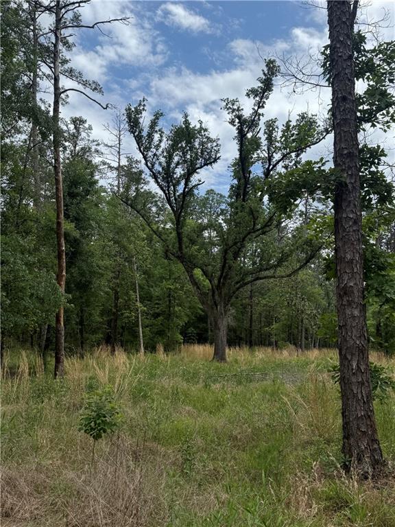50150 Spirit Of The Forest Lane, Folsom, Louisiana image 4