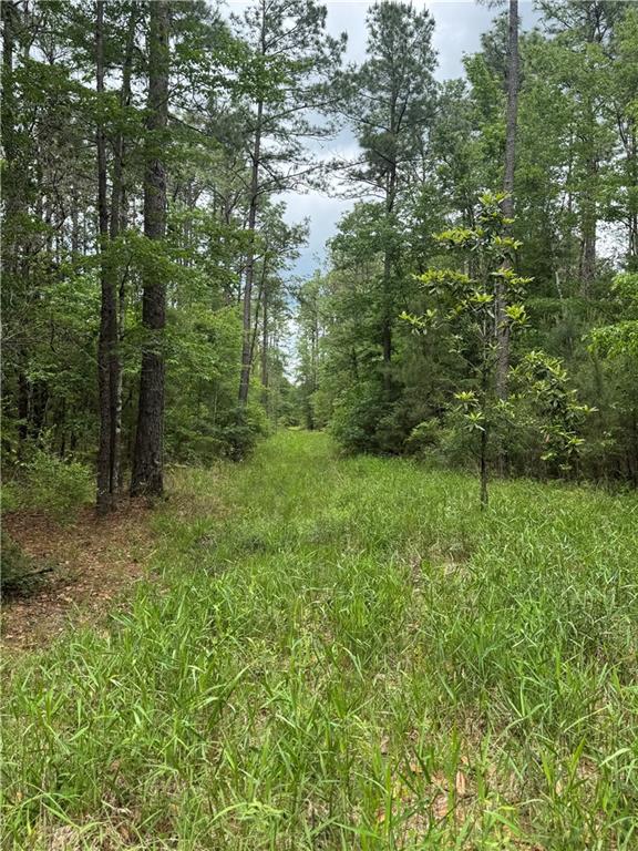 50150 Spirit Of The Forest Lane, Folsom, Louisiana image 5