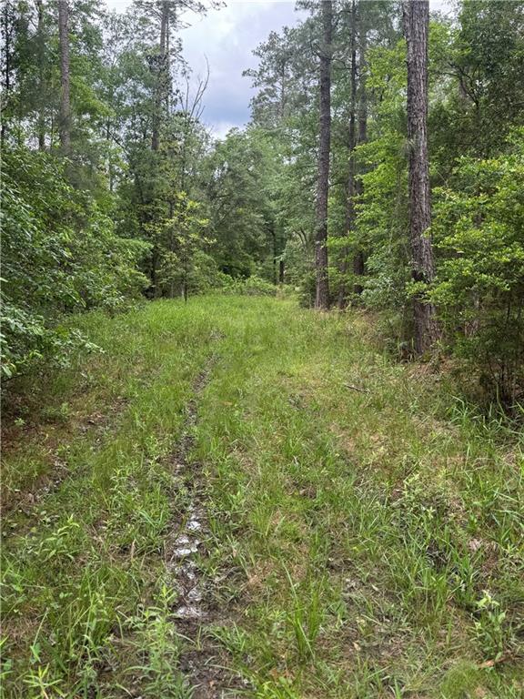 50150 Spirit Of The Forest Lane, Folsom, Louisiana image 6