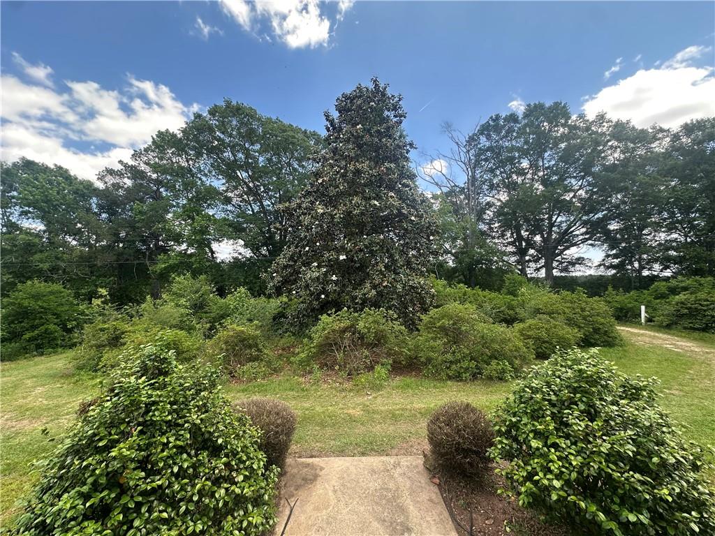 30173 N Purvis Thomas Road, Franklinton, Louisiana image 4