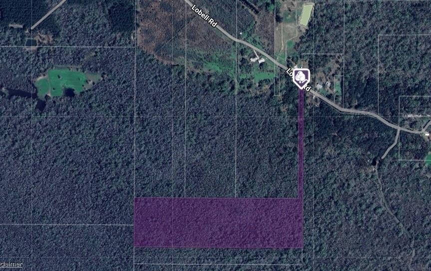 30 AC Lobell Road, Holden, Louisiana image 1