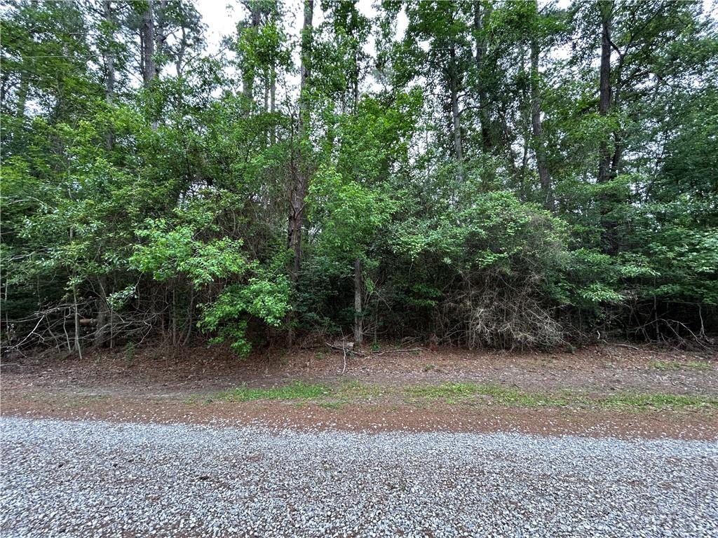 Firetower Road, Mandeville, Louisiana image 2