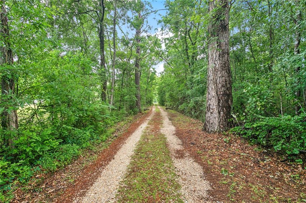 14356 Oak Street, Tickfaw, Louisiana image 26