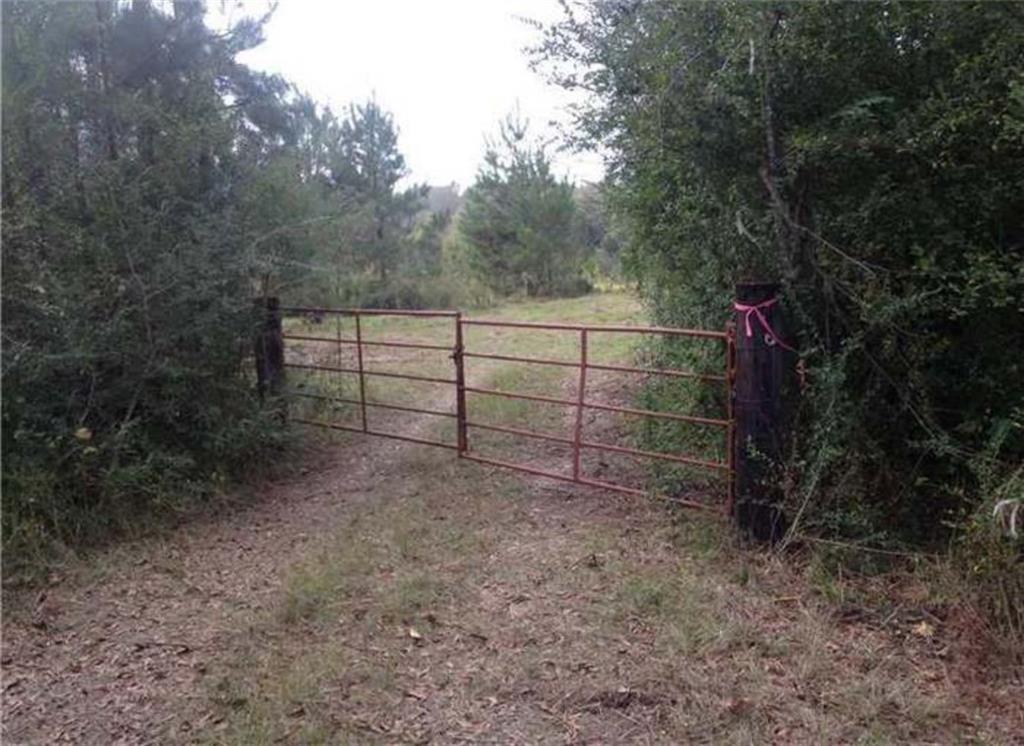 29433 Roscoe Dillon Road, Franklinton, Louisiana image 4