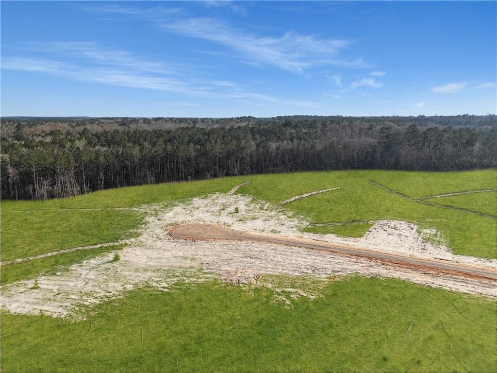 Lot 10 Highway 62 Highway, Franklinton, Louisiana image 4