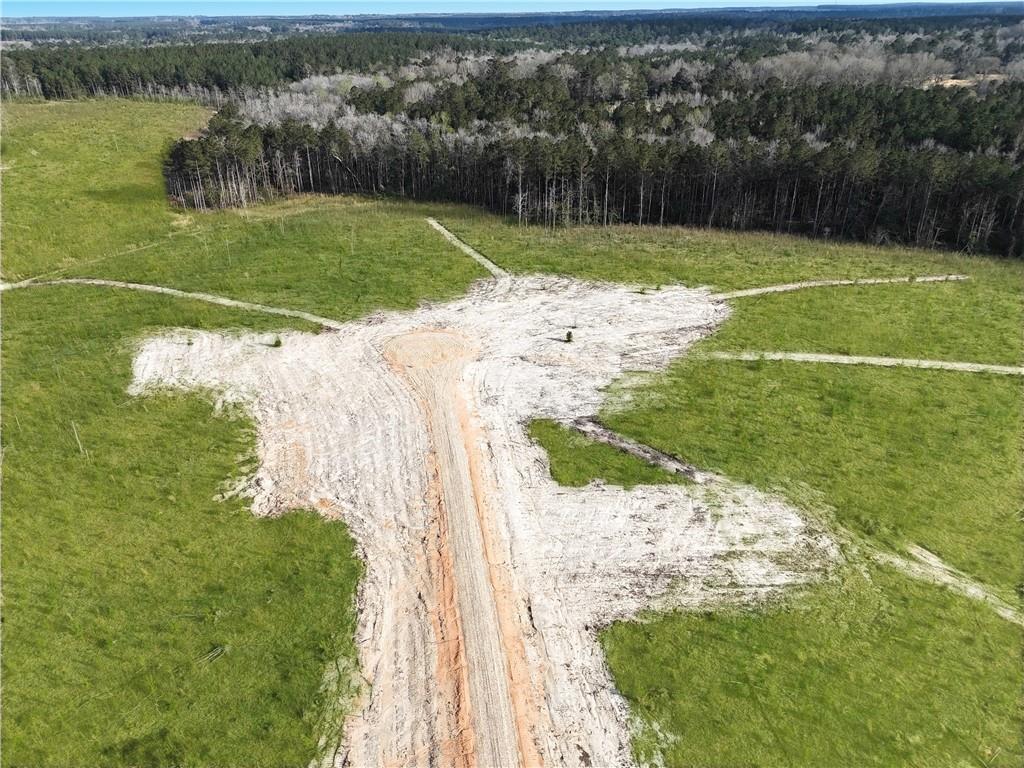 Lot 10 Highway 62 Highway, Franklinton, Louisiana image 5