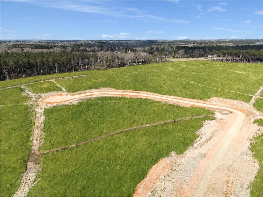 Lot 7 Highway 62 Highway, Franklinton, Louisiana image 5