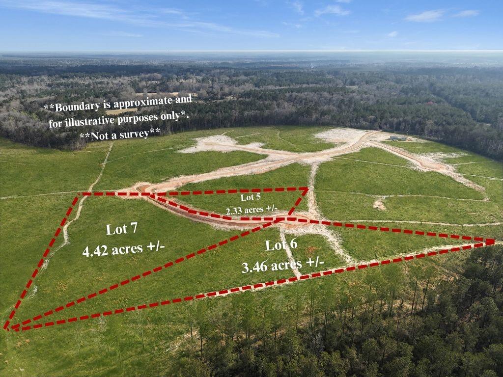Lot 7 Highway 62 Highway, Franklinton, Louisiana image 6