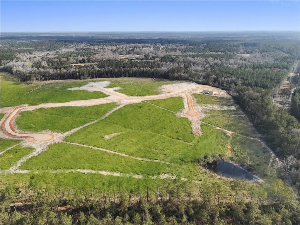 Lot 5 Highway 62 Highway, Franklinton, Louisiana image 3