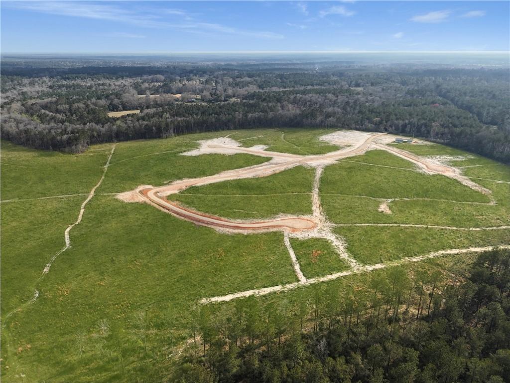 Lot 5 Highway 62 Highway, Franklinton, Louisiana image 6