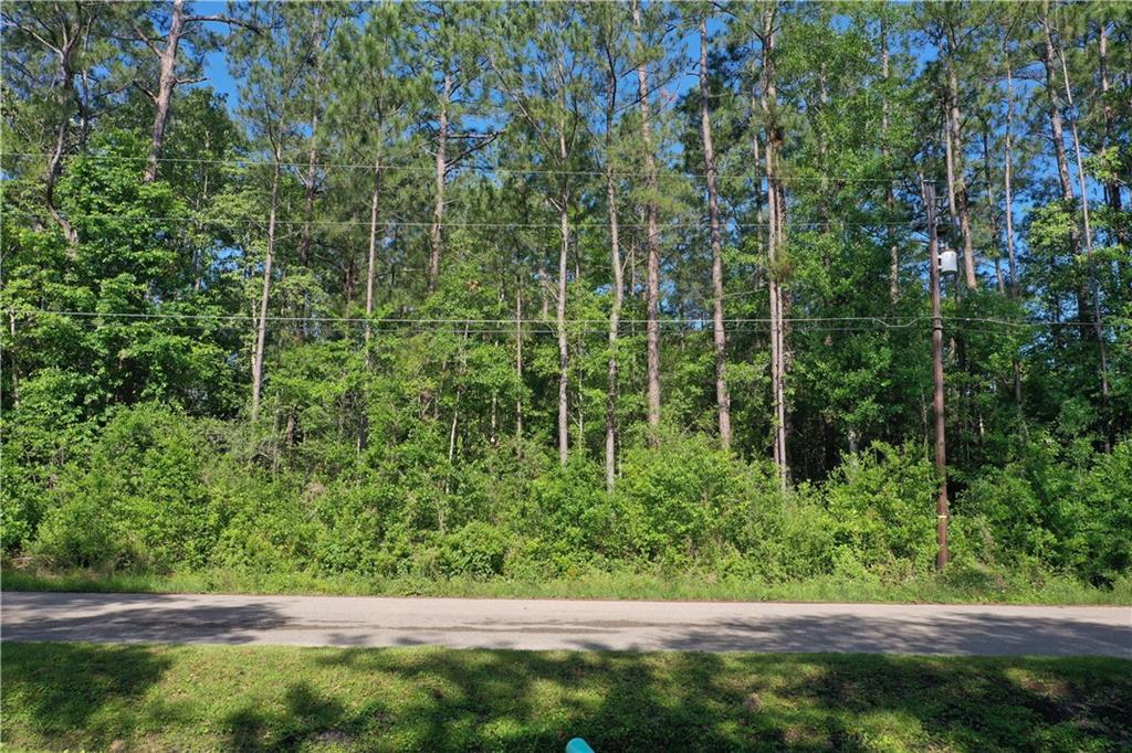 Pinewood Circle, Pearl River, Louisiana image 1