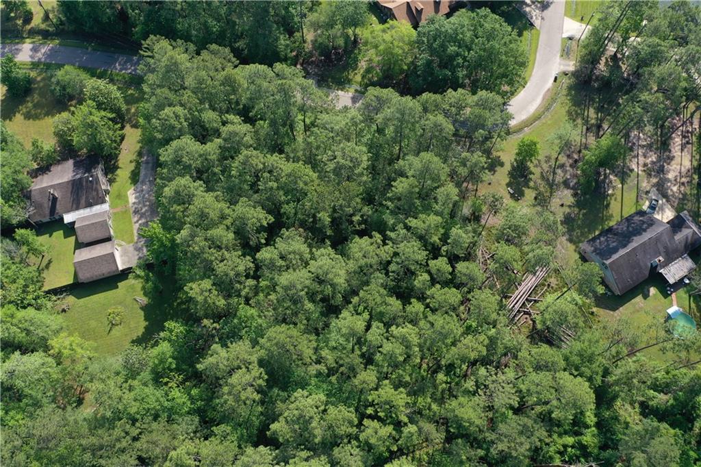Pinewood Circle, Pearl River, Louisiana image 3
