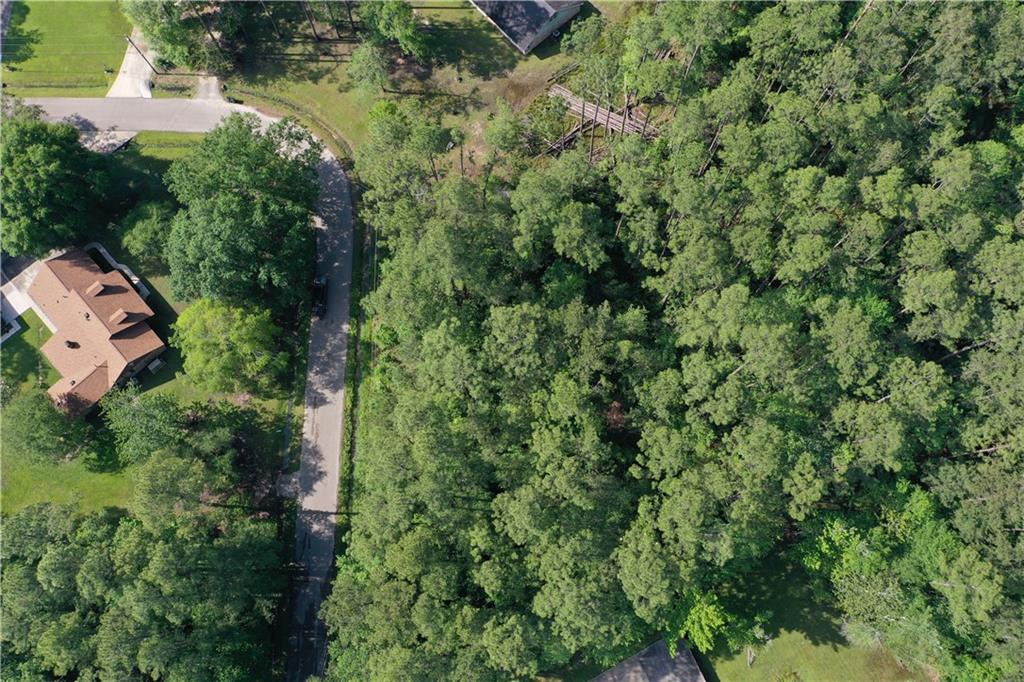 Pinewood Circle, Pearl River, Louisiana image 4