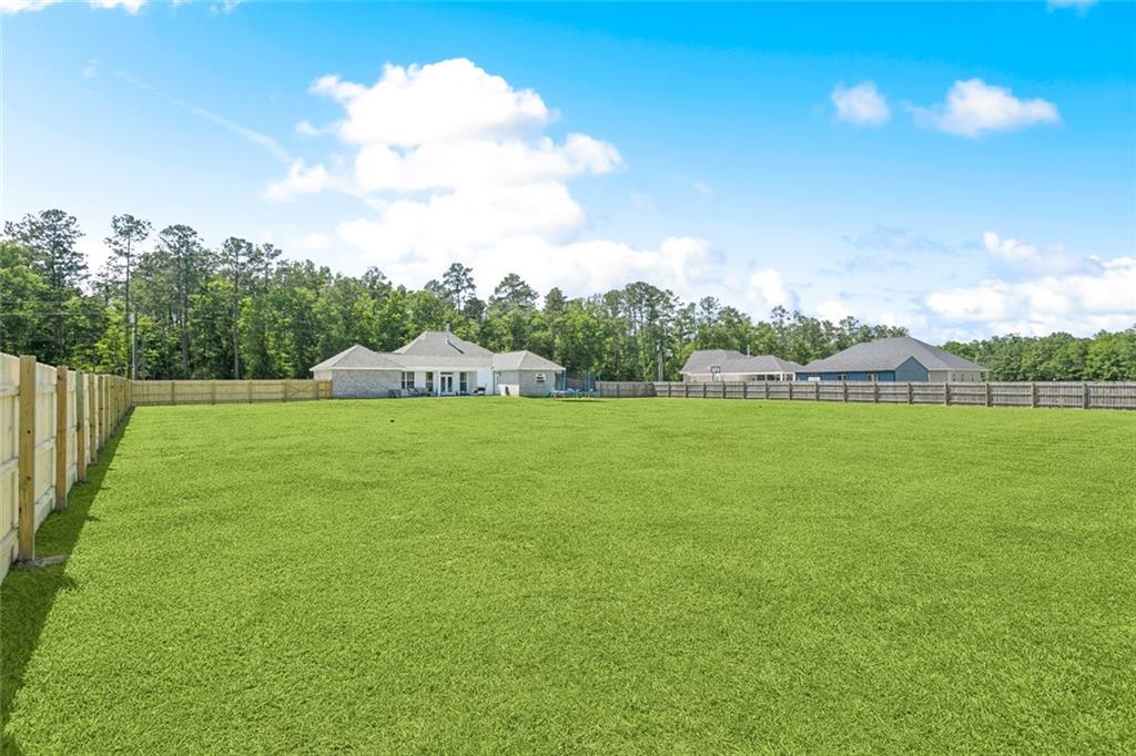 19916 Church Branch Road, Springfield, Louisiana image 21