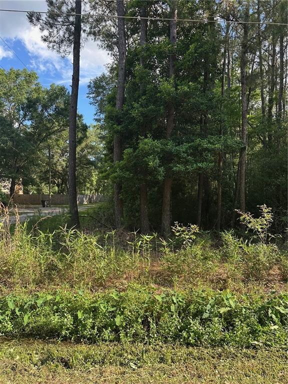 36312 Rheusaw Crawford Road, Pearl River, Louisiana image 4