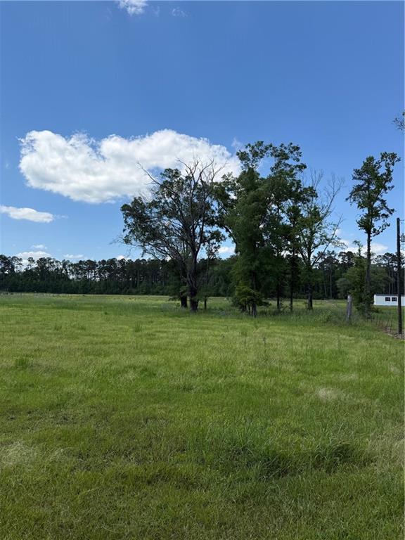 TBD Airport Road, Amite, Louisiana image 3