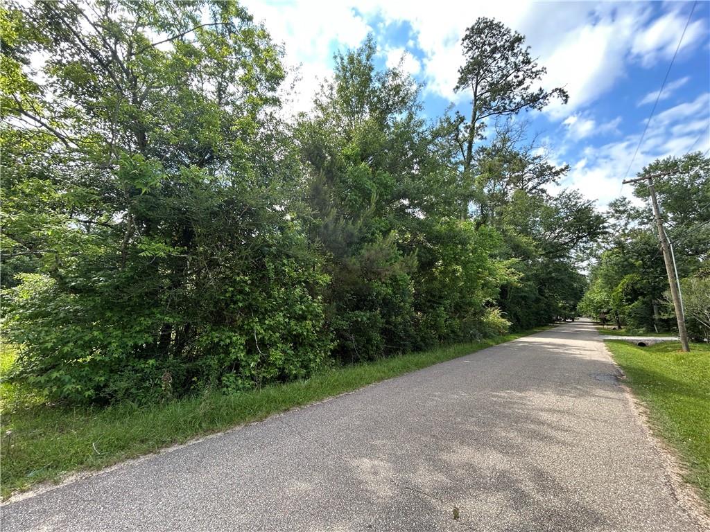 St Charles Street, Abita Springs, Louisiana image 3