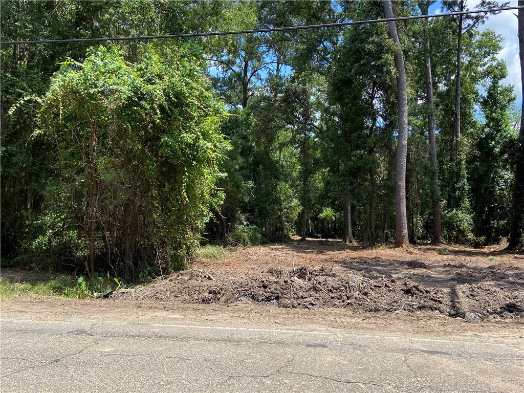 W 21st Avenue, Covington, Louisiana image 3