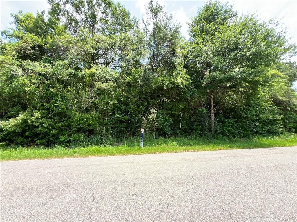 Tantela Ranch Road, Covington, Louisiana image 3