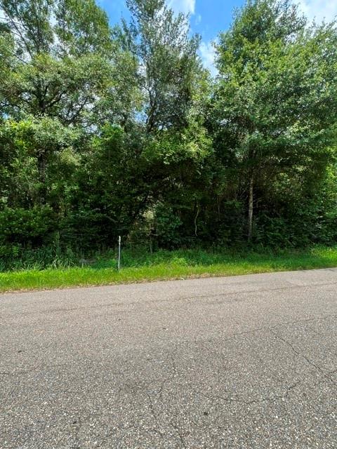 Tantela Ranch Road, Covington, Louisiana image 4