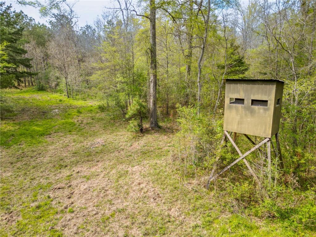 29380 Archie Simmons Road, Mount Hermon, Louisiana image 11