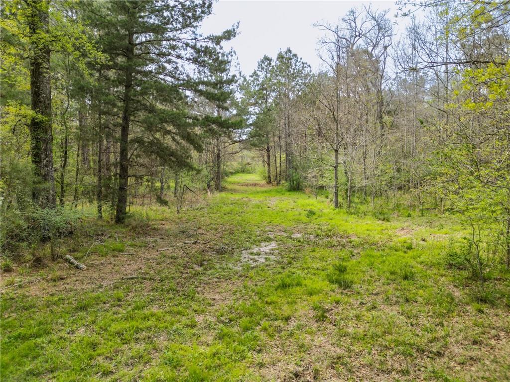 29380 Archie Simmons Road, Mount Hermon, Louisiana image 12
